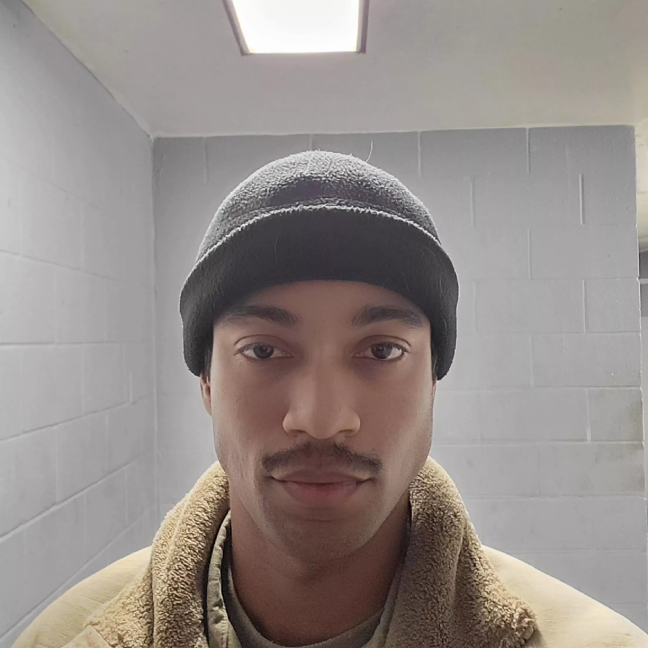 mustache addition mustache addition