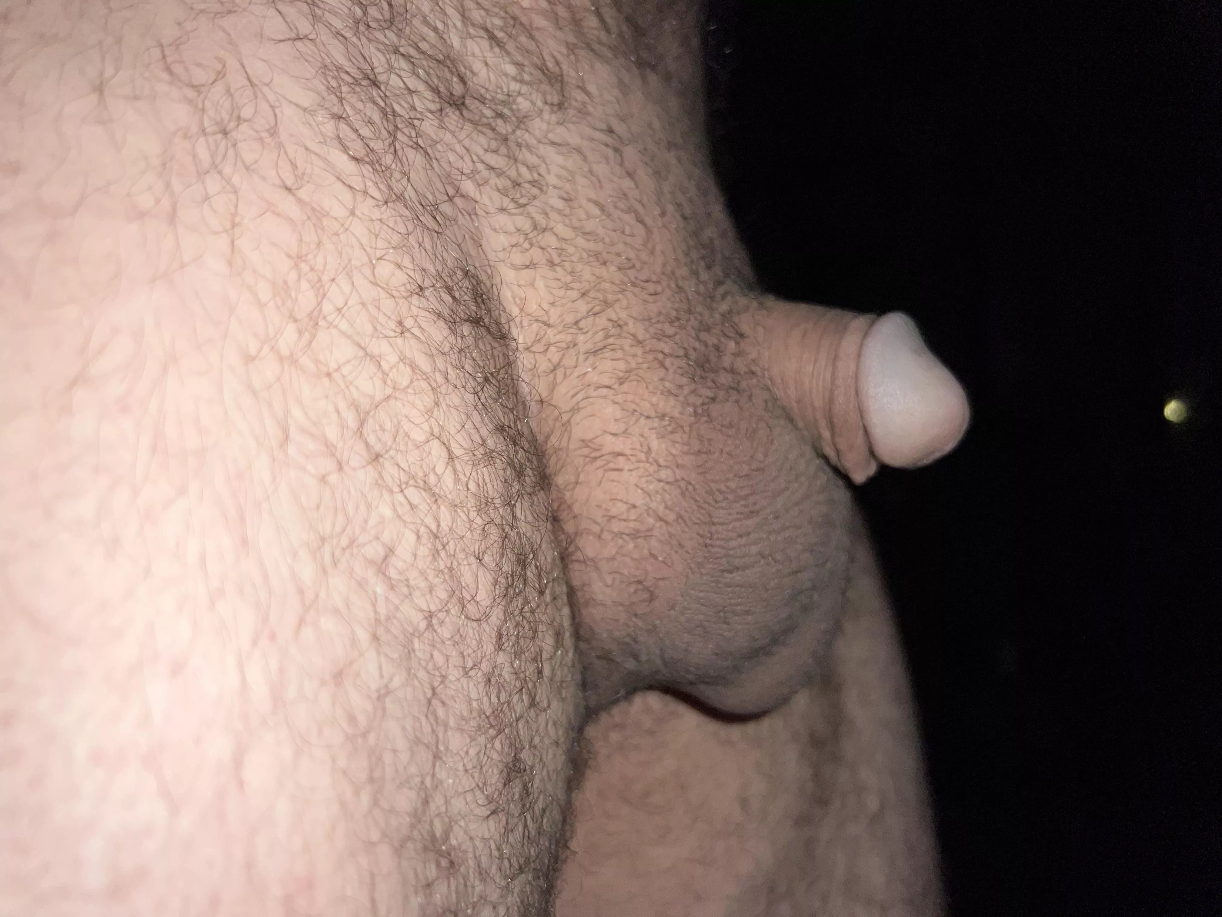 Neighbors definitely can’t see this