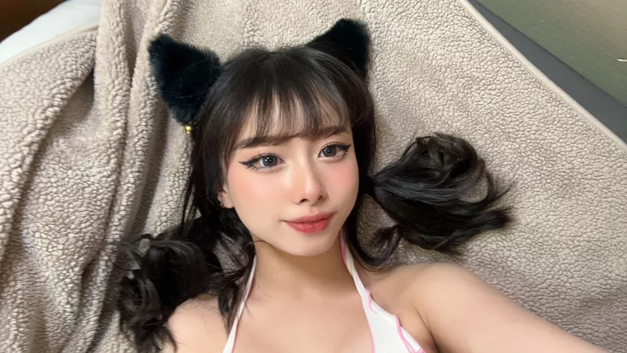 pet me maybe? i promise i'll purr