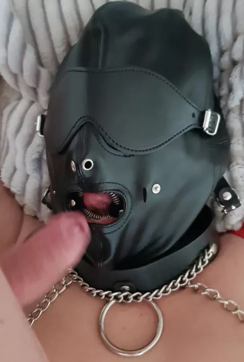 ringgag under the hoodi [F]
