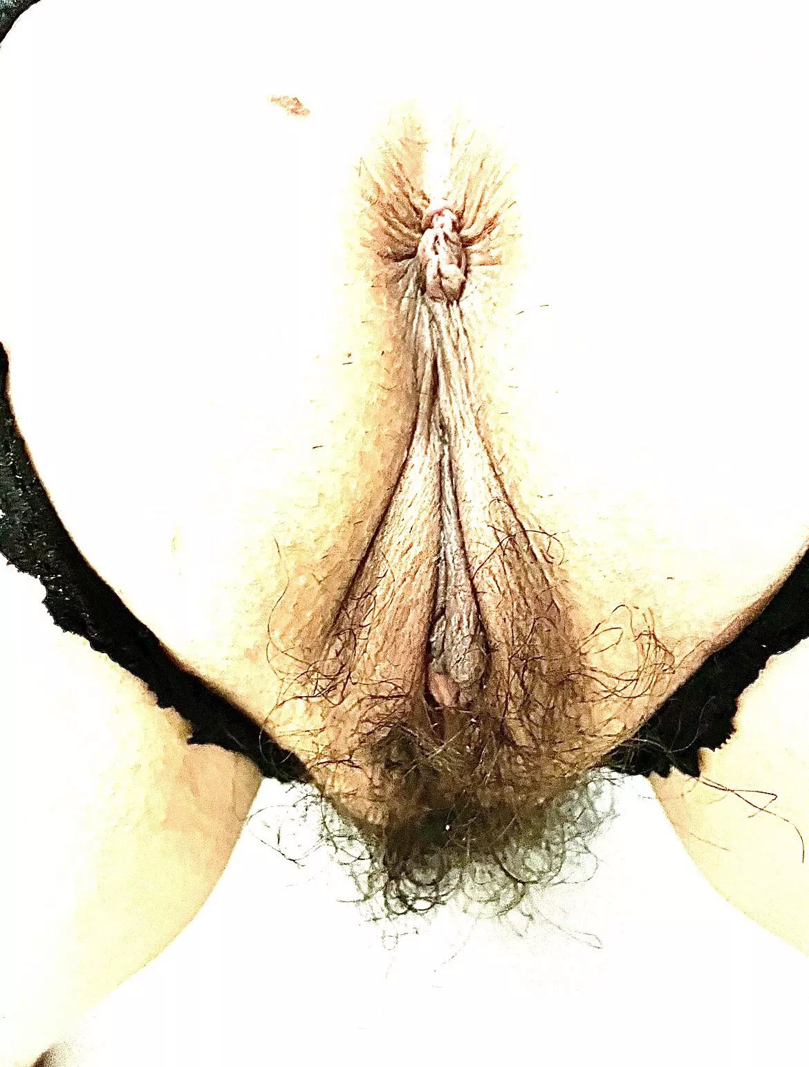 The Rear View Mirror