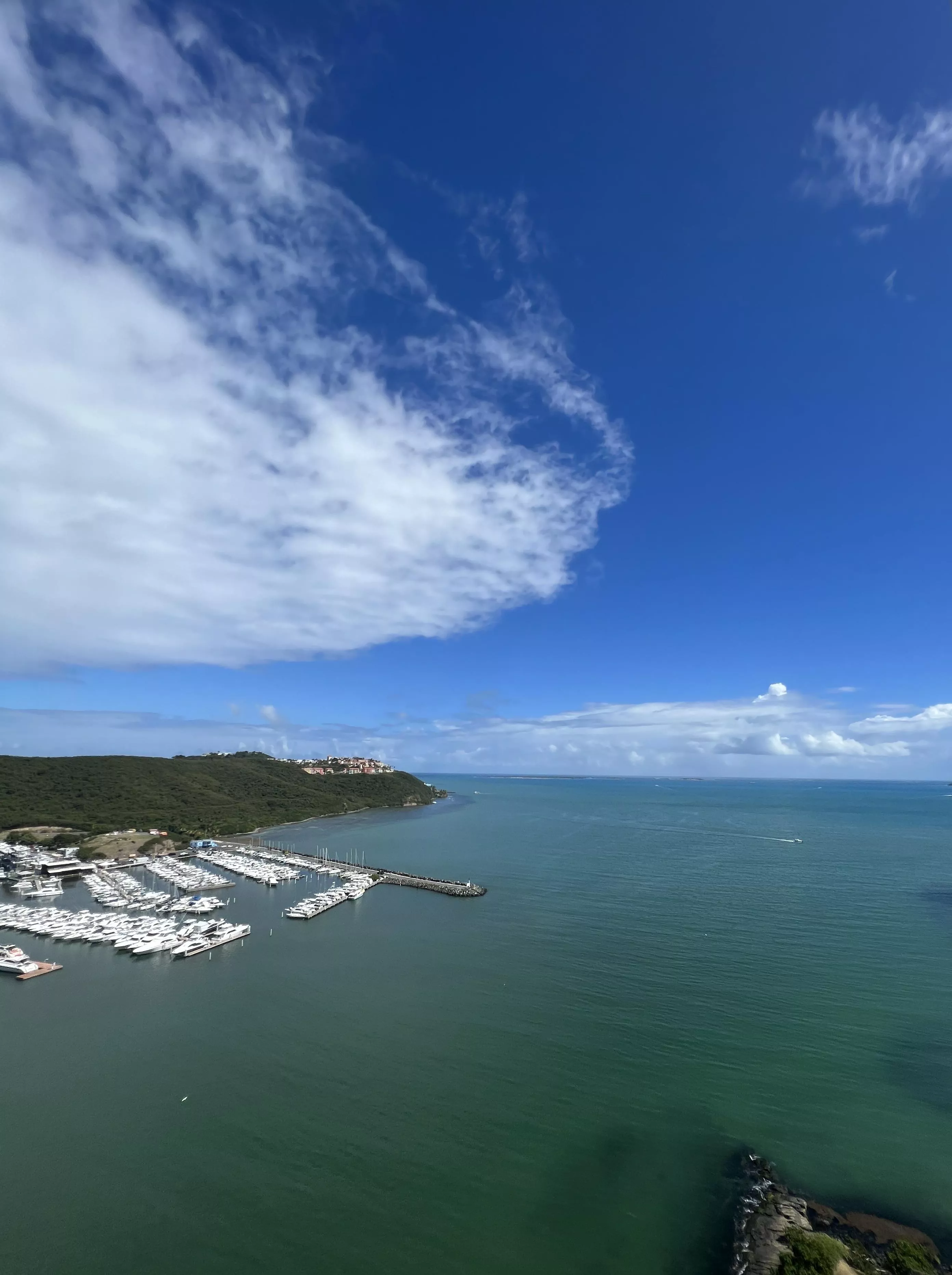 Views from a 24th floor