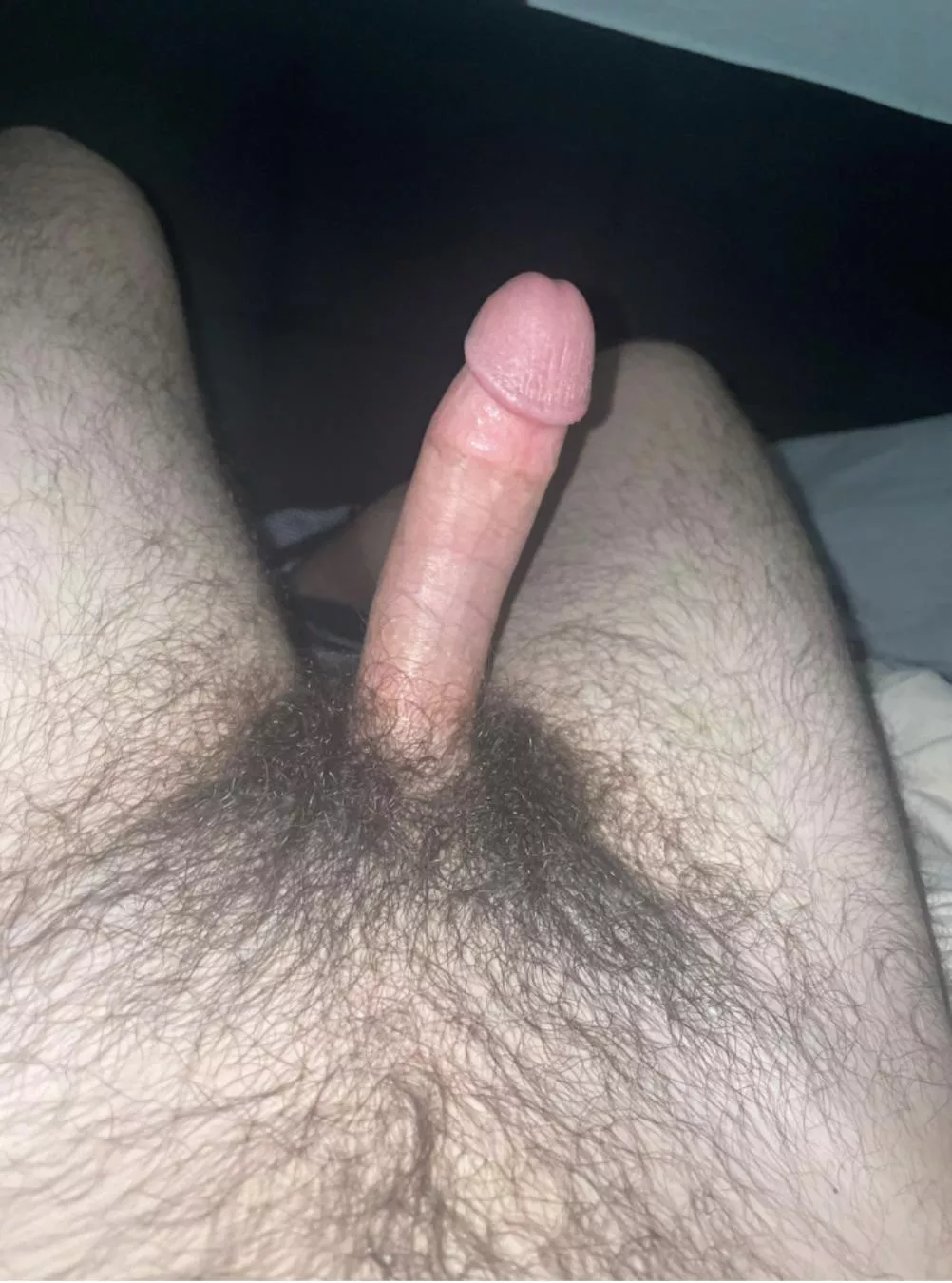 What you guys think ?