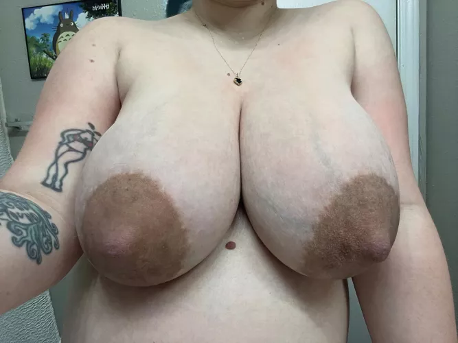 you can’t miss these nips!