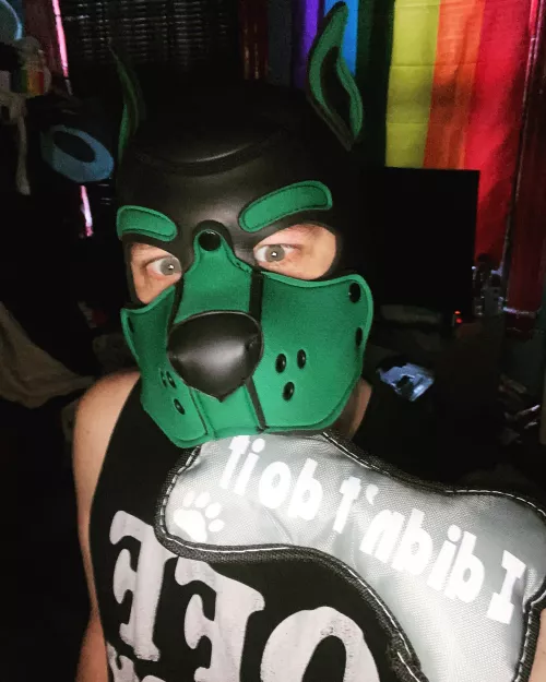 Did I -Or Didn’t I???