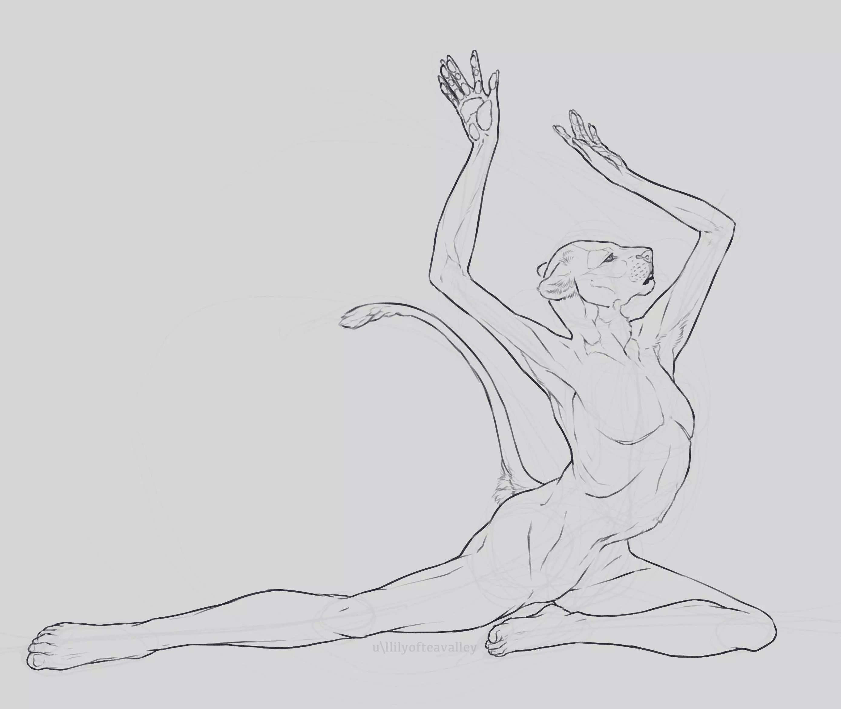 Do it for them (wip by: me)