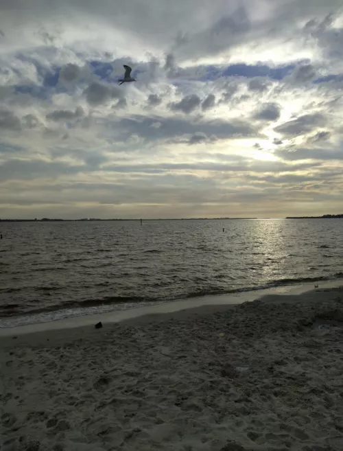 Good Sunset, Goodnight