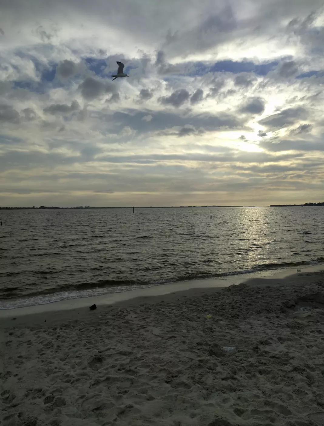 Good Sunset, Goodnight