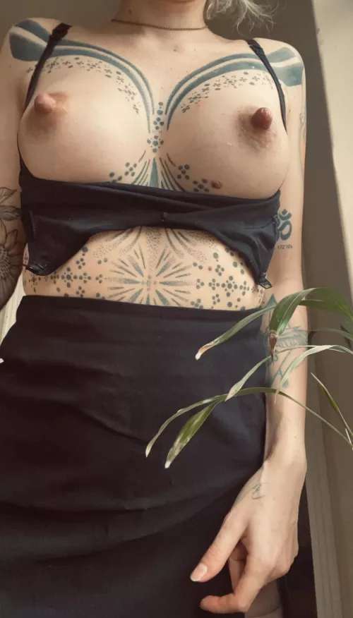 Hello, I'm new here :)