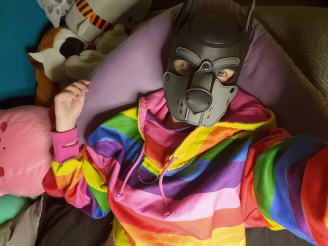 hia puppies 🥰🥰 Little update: My Mistress and I chatted and mutually split from our dynamic 💜💜