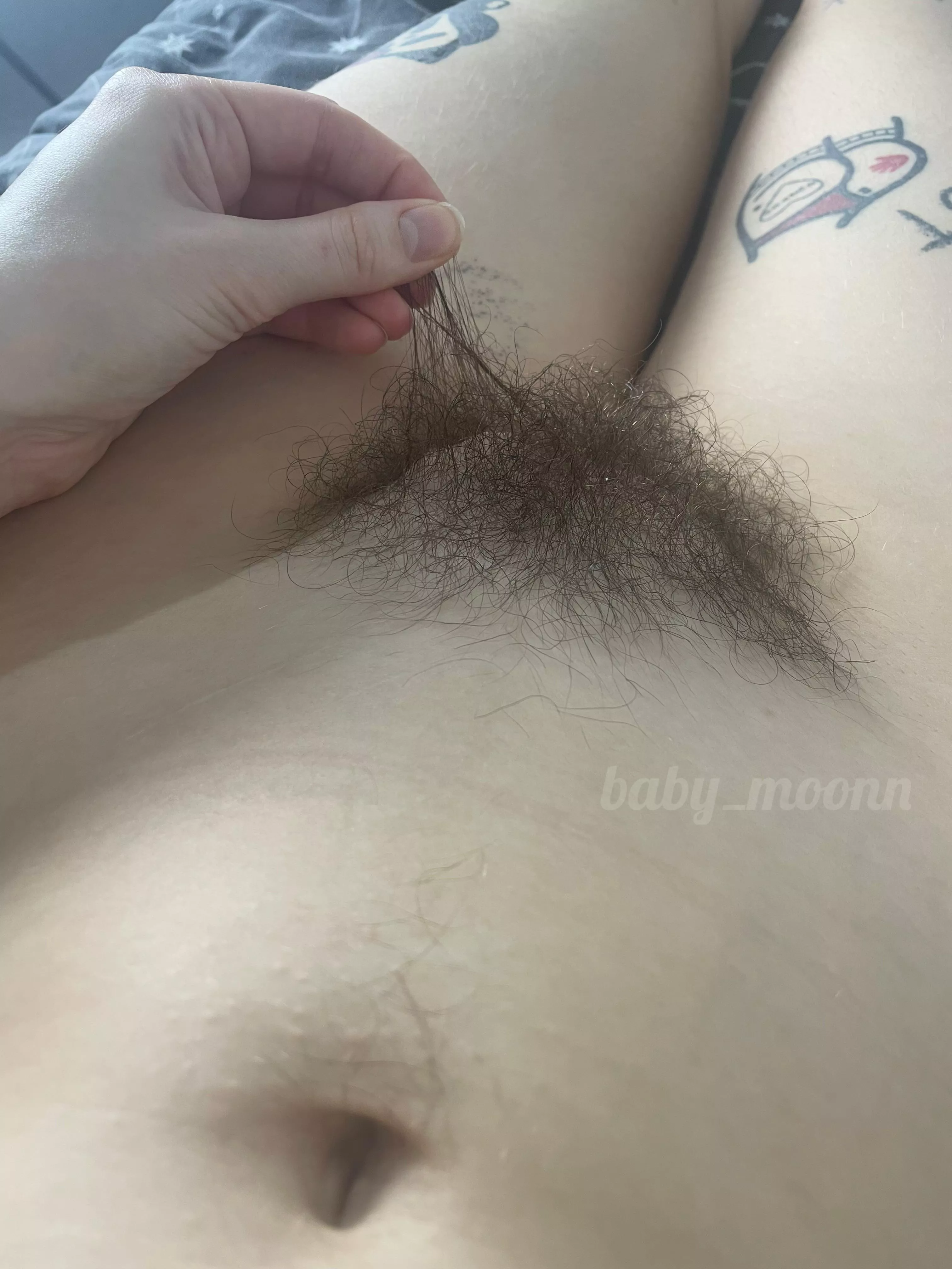 Is my bush too long?