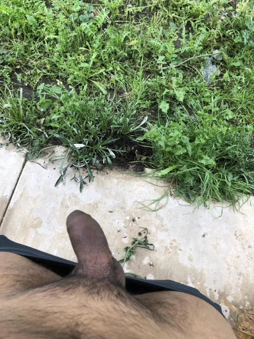 Just rolling some blunts with my cock out😜