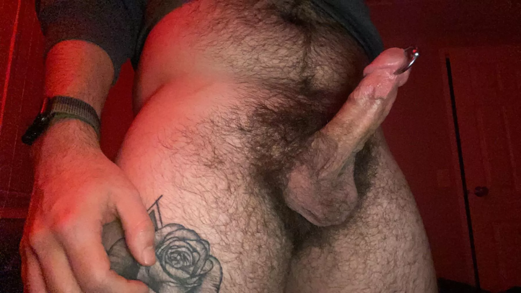 pierced hairy dick