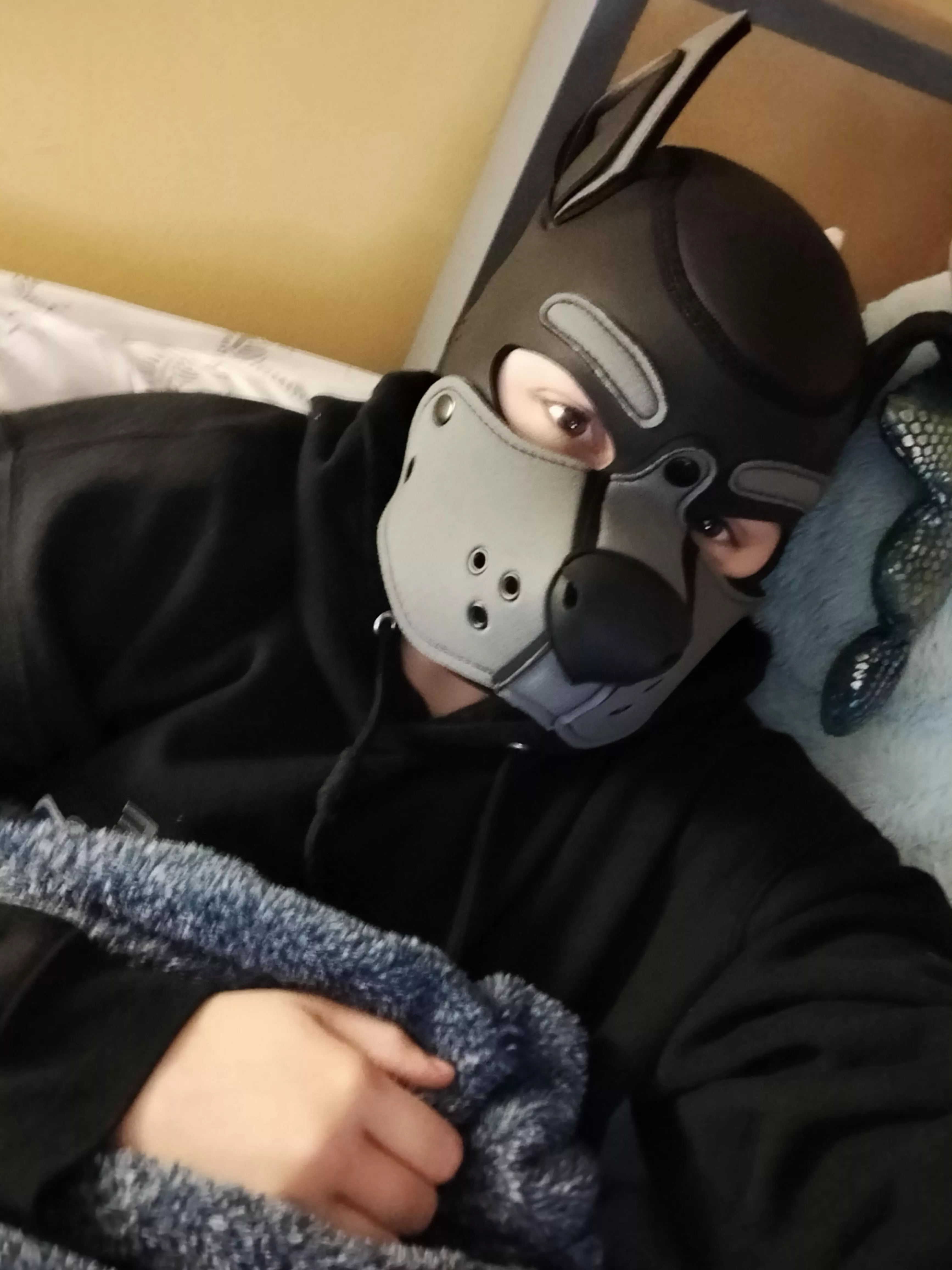 still pretty new with PupPlay but I got my first hood!!!!