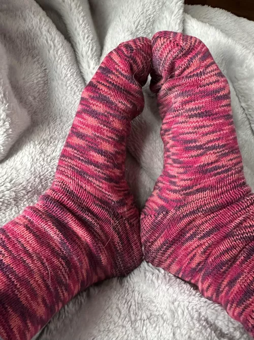 Sweaty, smelly, and covered in dog hair