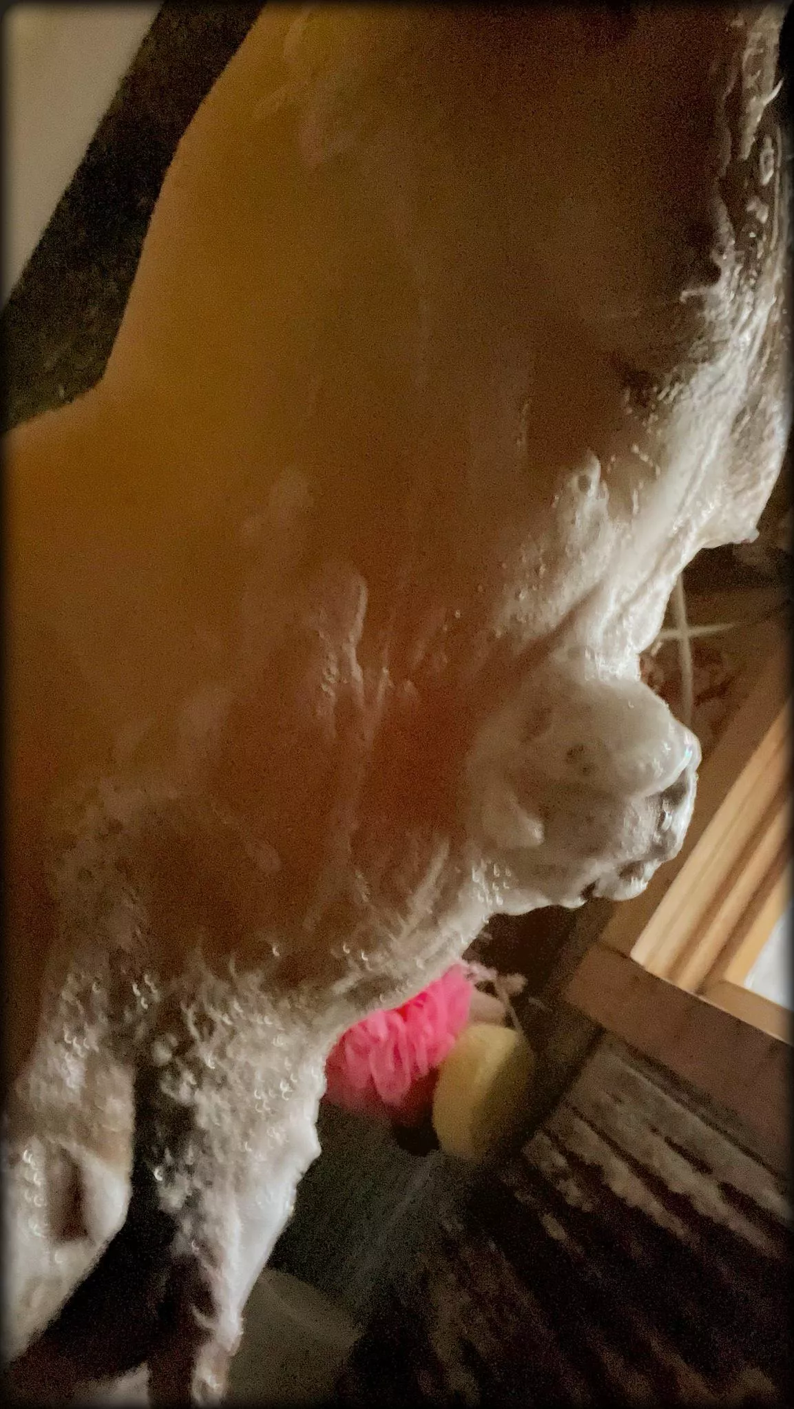 Wet n slippery = Fun times