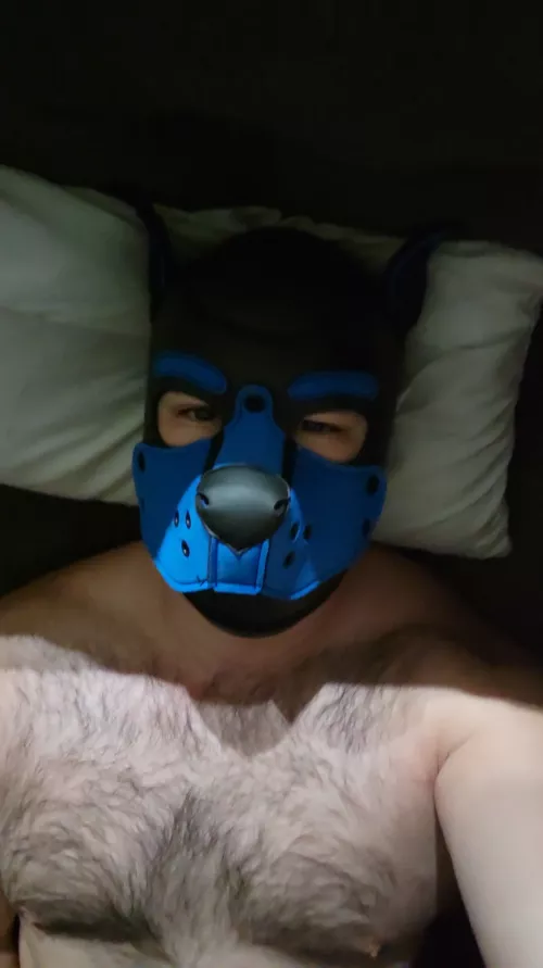 33 m US. Add pupdodger on snap and send asl and face