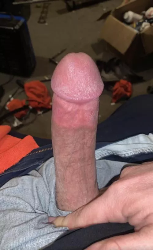 36 Canada …. Shy and horny