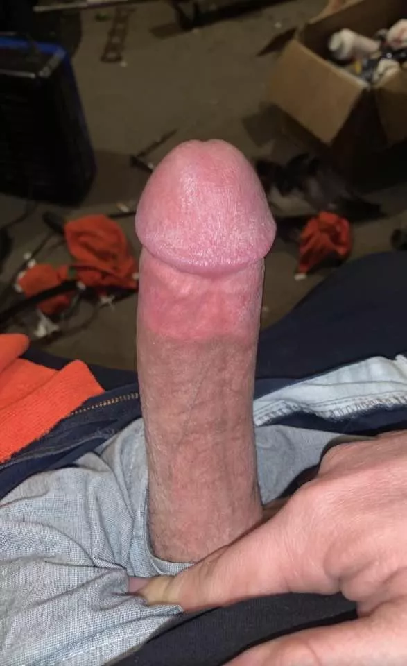 36 Canada …. Shy and horny