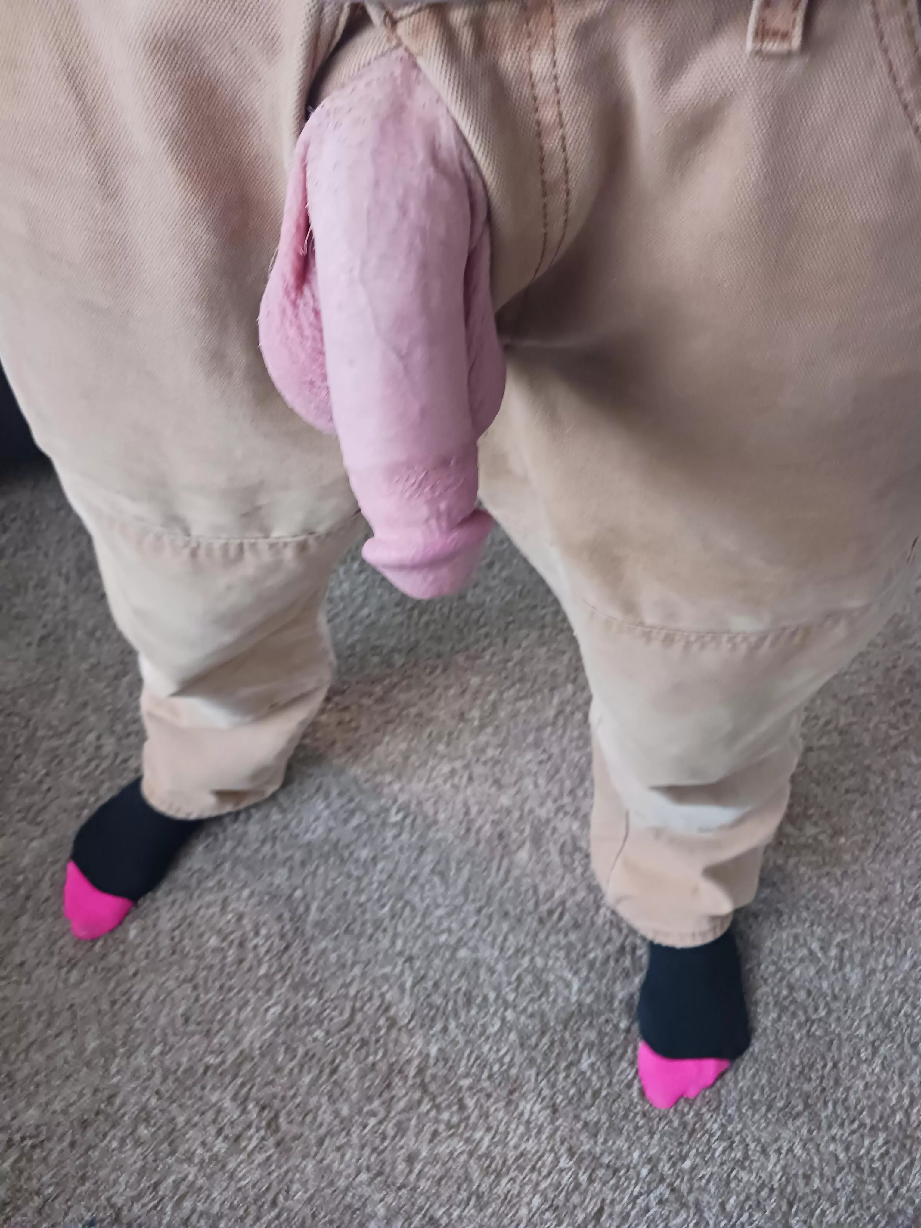 [49]year old single dad. What do you think??