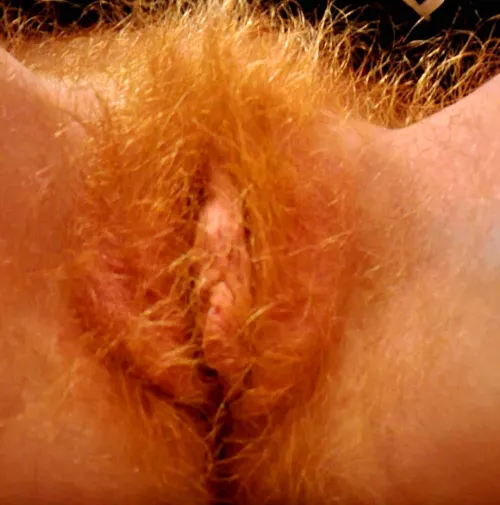 bright eyed and bushy