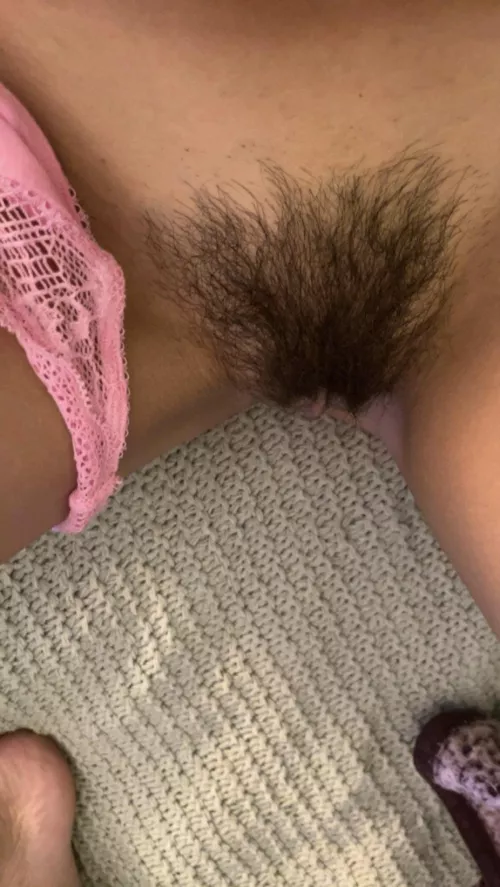 Do you like the bush she grew for me?