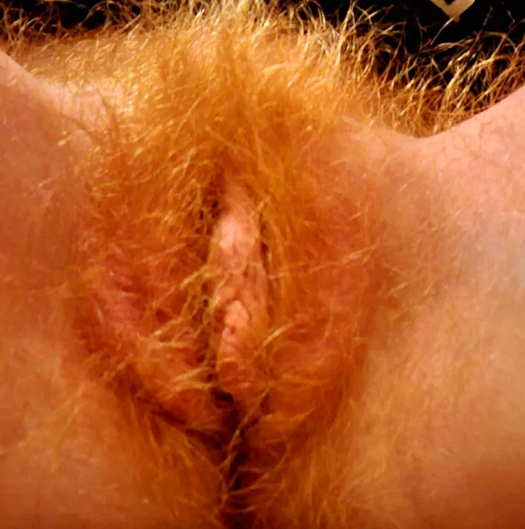 ginger hole