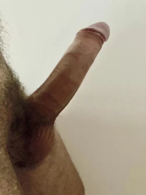 Hard and home alone. Would you like to taste me?