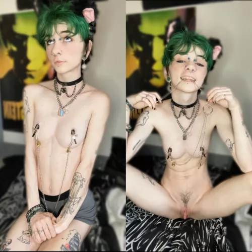 (he/they, enby) waiting for your commands…