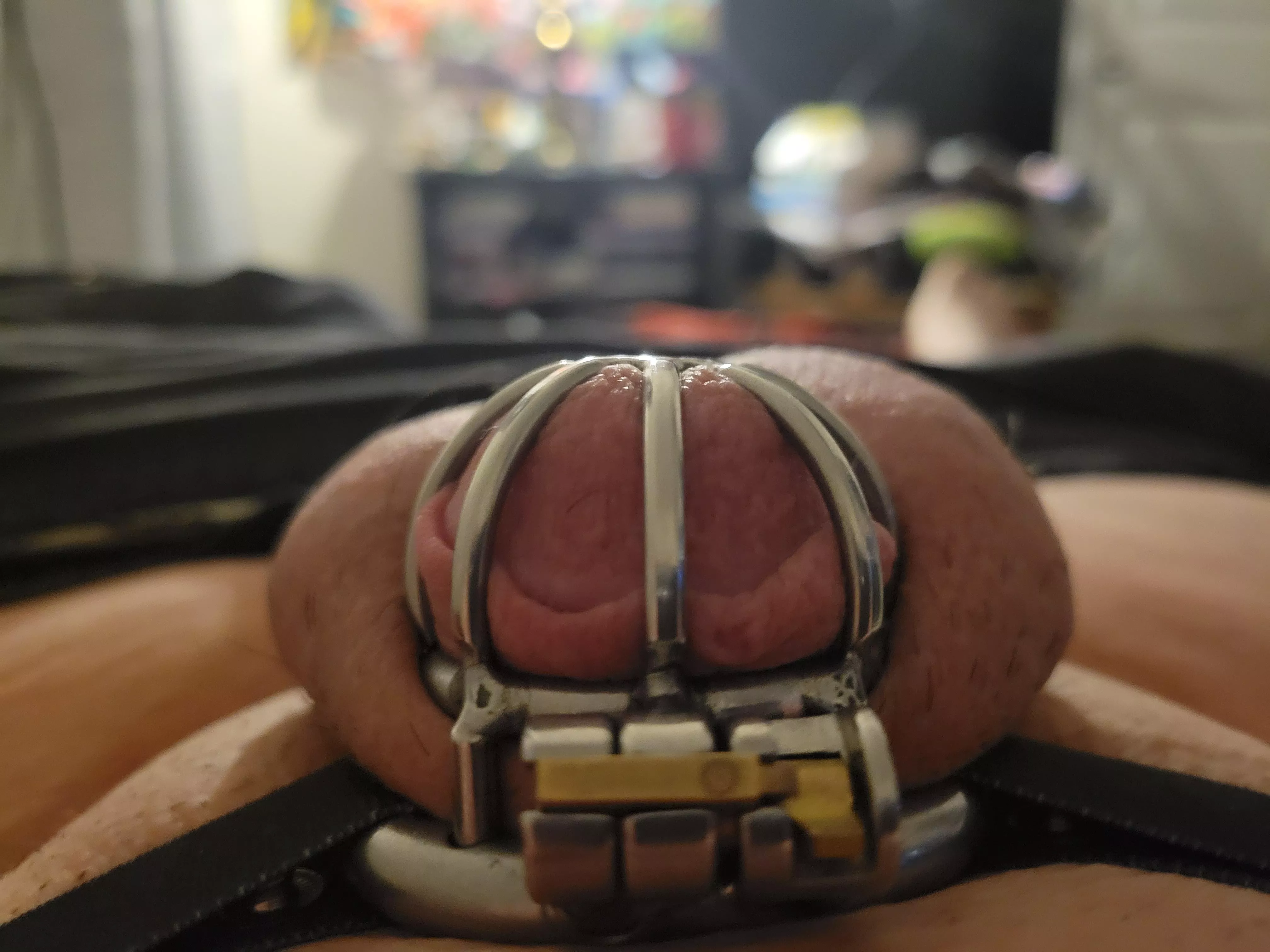 I don't think I can get hard anymore without girl dick.