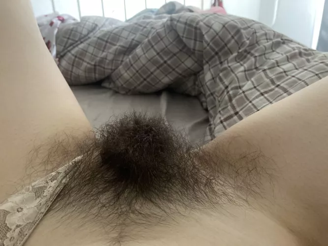 morning wild bush for you💗