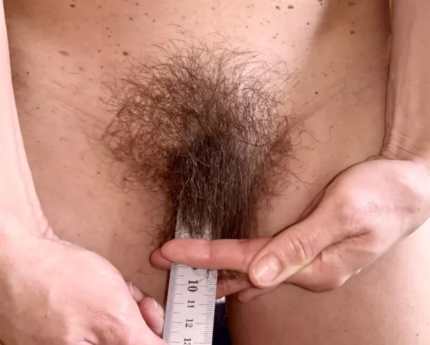 My bush measures 10 cm now!