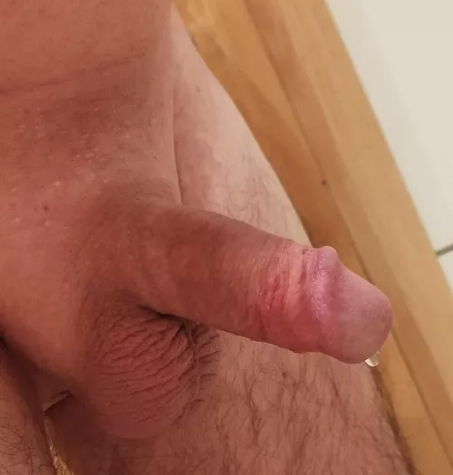 My German Cut Cock with Precum on it 😜✌️