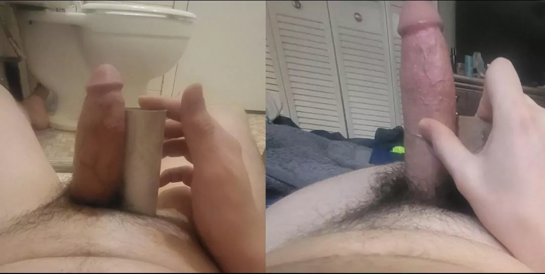 My soft and hard tp roll comparison My soft and hard tp roll comparison