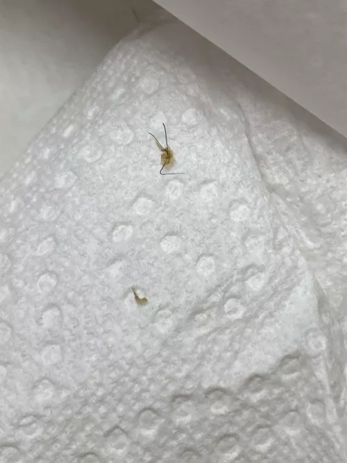 What came out of my last post