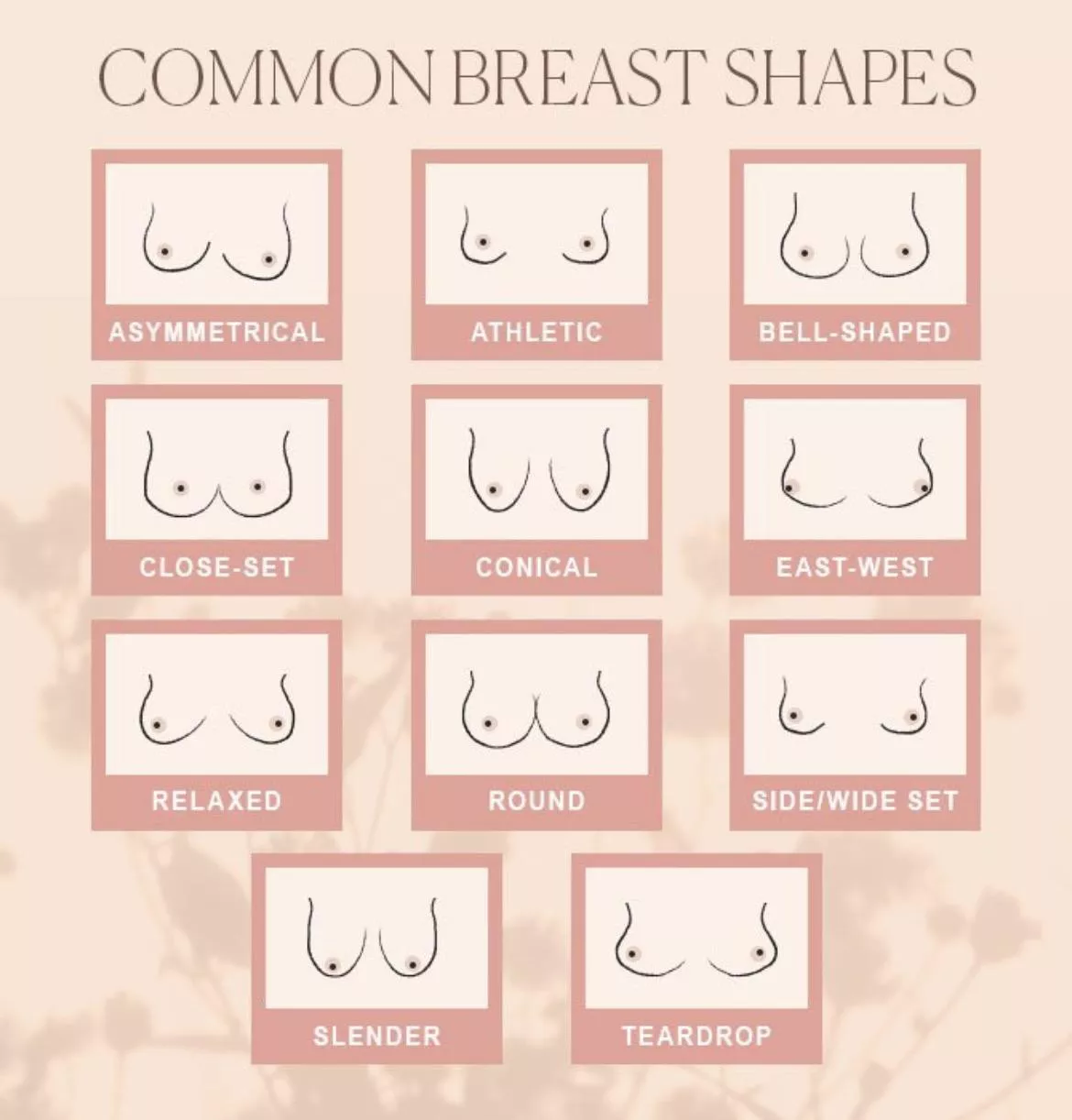 What shape are your breasts or what shape are your wife’s breasts?