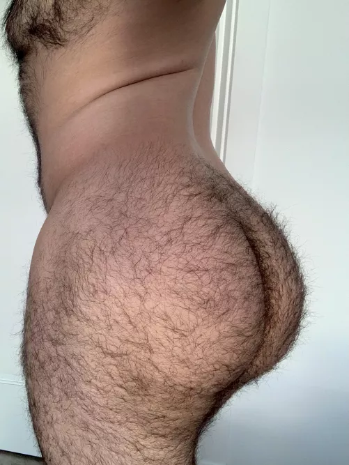 WHO LIKES MY HAIRY BUM?