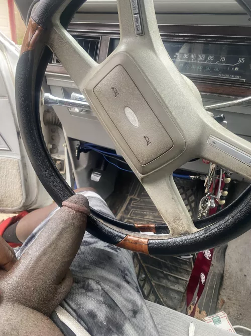 Who wants to go for a ride in the Vic and play with my stick