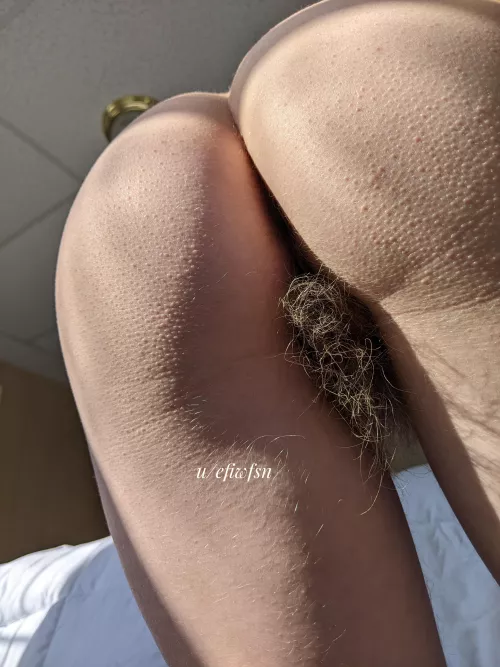 Would you eat me from the back?