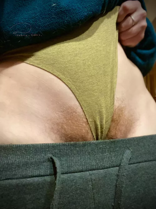 would you pull my panties up or down?