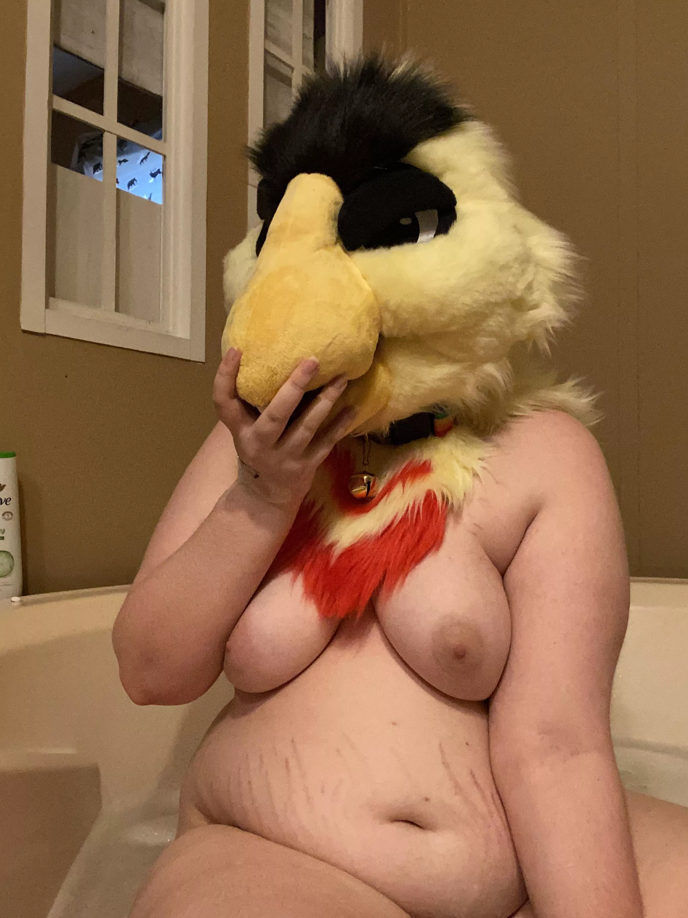 You make this bird blush~