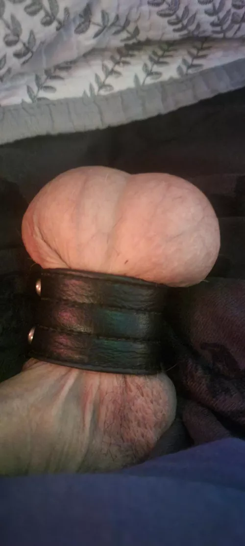 Full balls that need edged and teased. hmu.