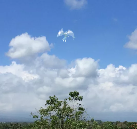 I.F.F. - Identified Flying Floof
