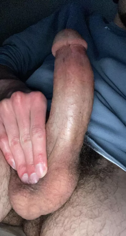 Let me see your wife I tell you if I breed her deep