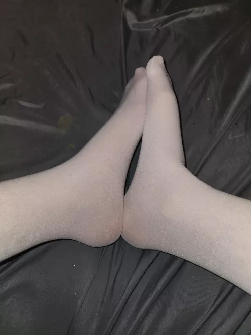 Let me wrap my nylon feet around your cock