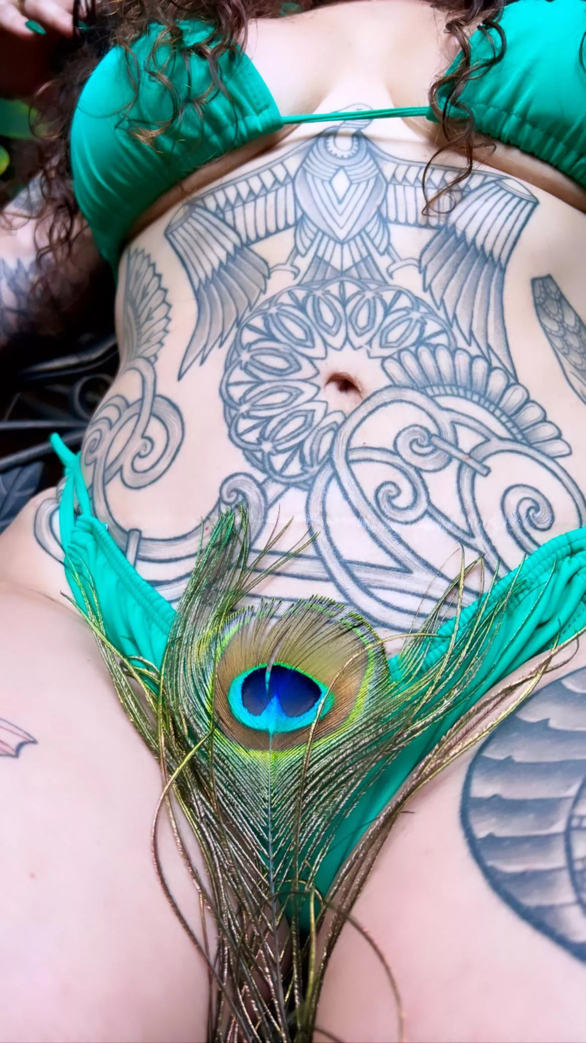 Let the peacock lead the way