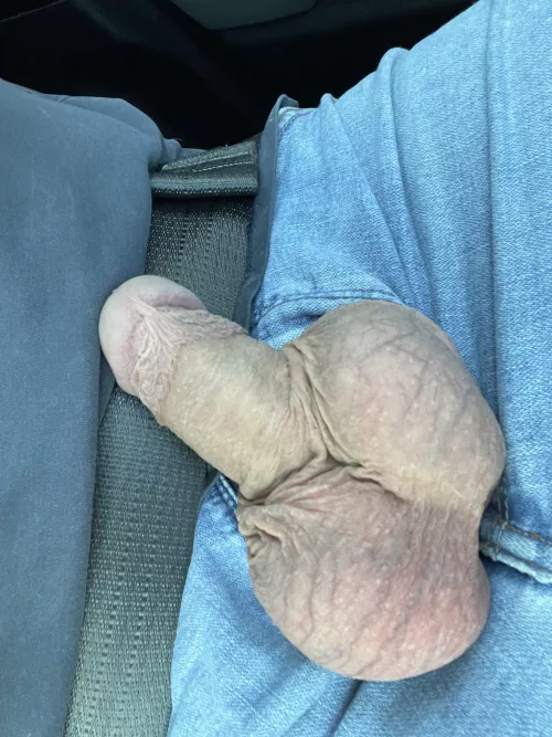 Love pulling my dick out on the drive home