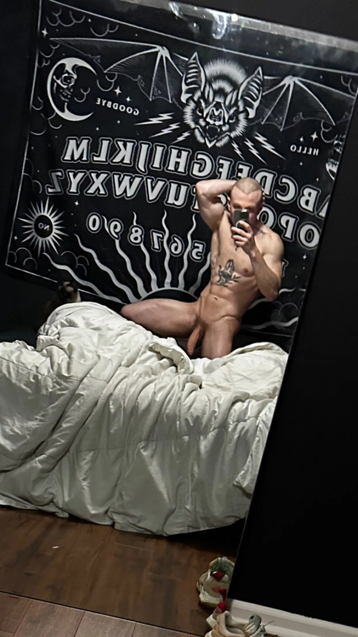 [M] Bored so I'll contribute.