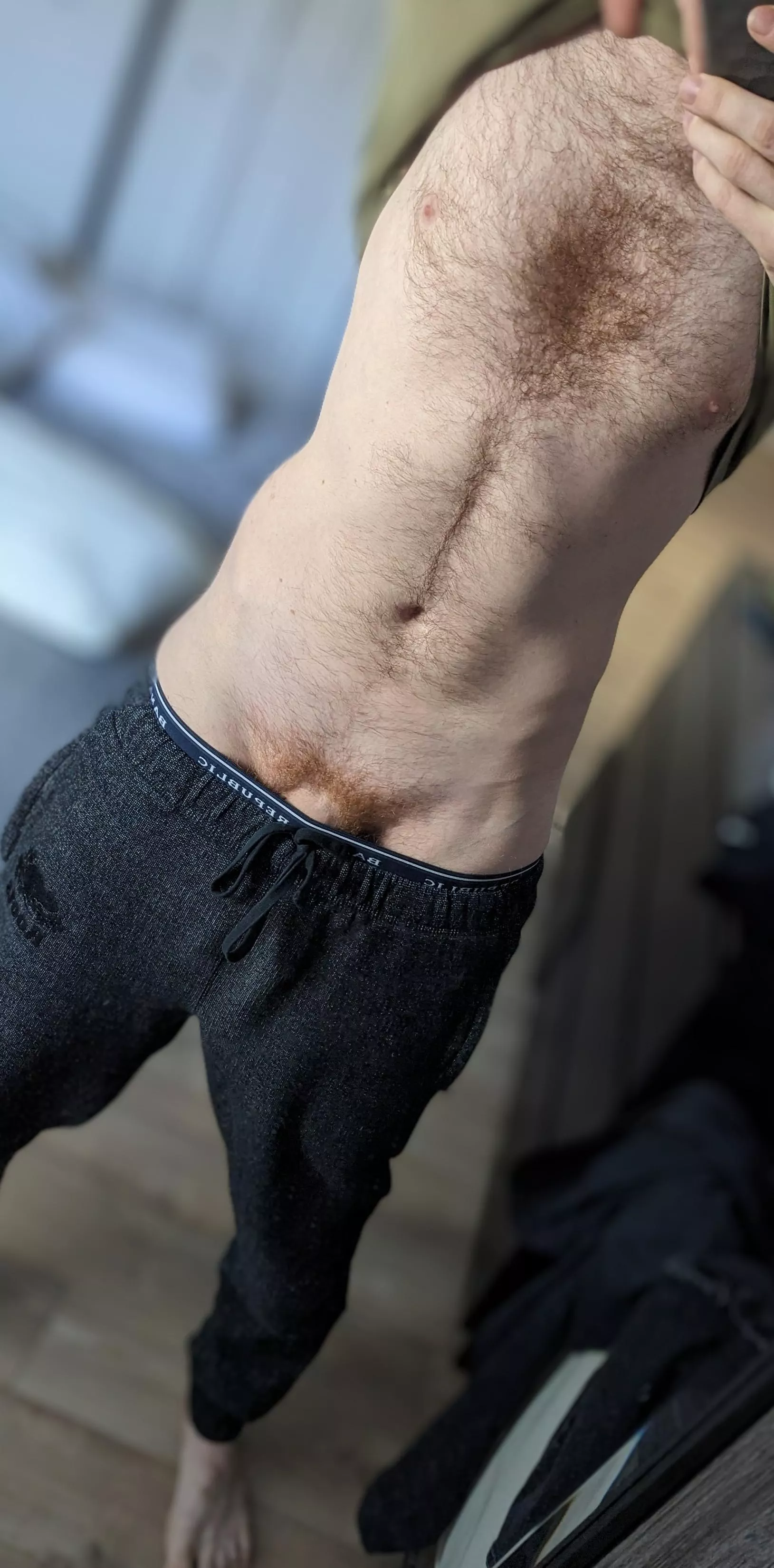 morning light. who wants to pull them down ;)