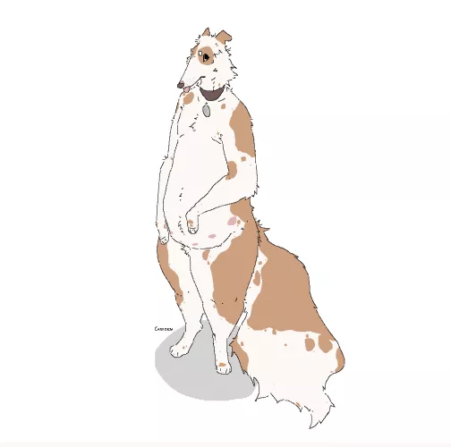 mspaint sketch of my borz - me